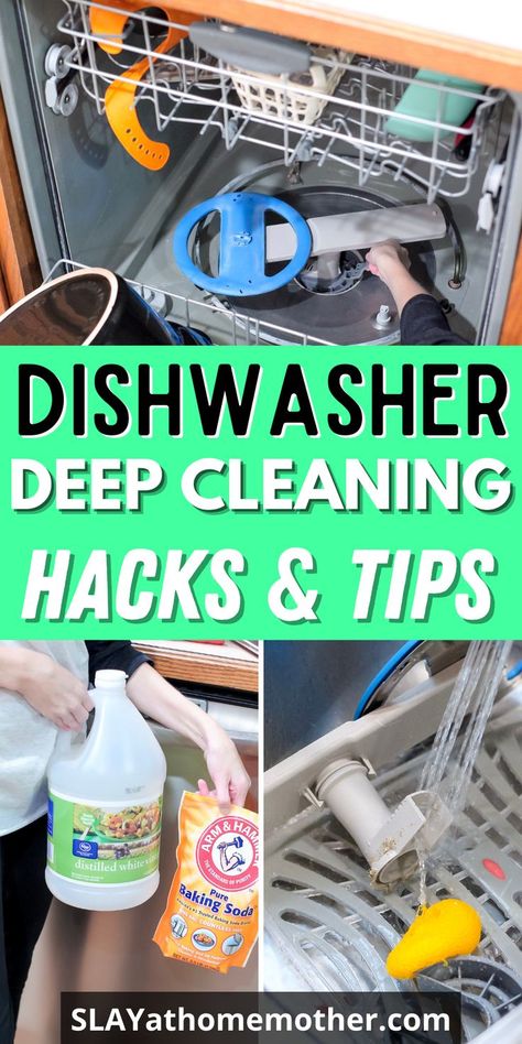 This is hands down the best way to deep clean your smelly stinky dishwasher! With vinegar and baking soda, you'll never have to scrub your dishwasher again and this cleaning hack works great for getting rid of nasty odors. Also, learn how to clean and remove your dishwasher filter (yep, it has one of those!) for a odor-free dishwasher. #slayathomemother #deepcleaning #deepclean #dishwasher #cleaninghacks #cleaningtips #cleaning #springcleaning #cleaningroutine #lifehacks #vinegar #bakingsoda Diy Dishwasher Cleaner, Smelly Dishwasher, Dishwasher Filter, Vinegar Cleaner, Vinegar And Baking Soda, Cleaning Your Dishwasher, Small Dishwasher, Deep Cleaning Checklist, Dishwasher Cleaner