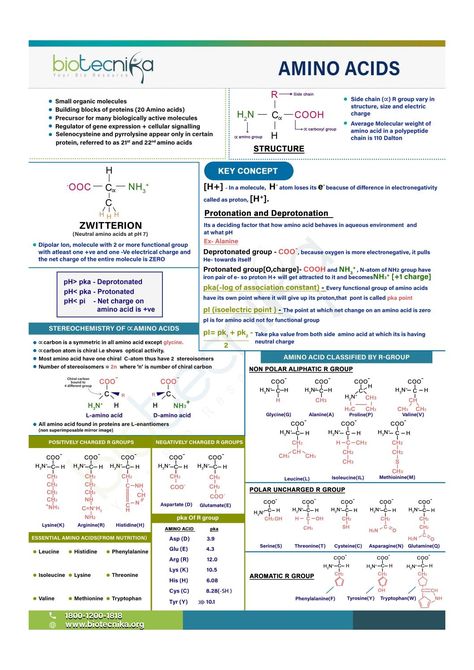 Amino Acids - Basics Amino Acids Notes, Biochemistry Aesthetic, Microbiology Aesthetic, Protein Structure, Biochemistry Notes, Organic Molecules, Chemical Structure, Future Doctor, Gene Expression