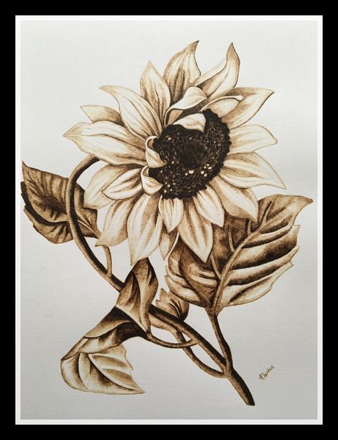 Pyrography on paper. sunflower art. Skull Sunflower Drawing, Wood Burn Sunflower, Pyrography On Paper, Pyrography Art Woodburning, Sunflower Pyrography, Flower Pyrography, Pyrography Flowers, Burning Flowers, Pyrography Ideas