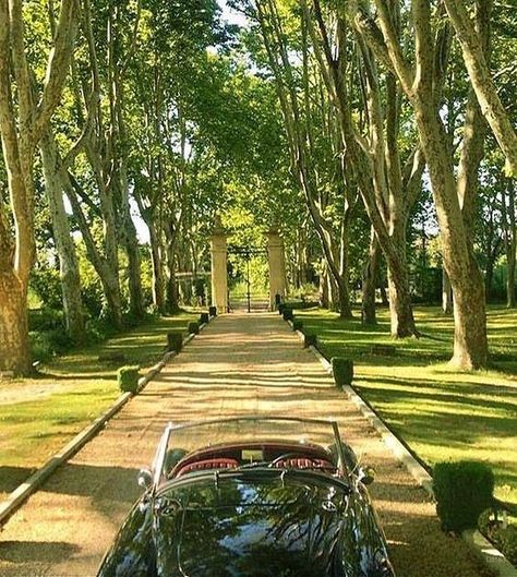 Driveway Entrance Landscaping, Saturday Vibes, Driveway Design, Dream Mansion, Dream Life House, Classic Garden, Countryside House, Dream House Interior, Dream House Exterior