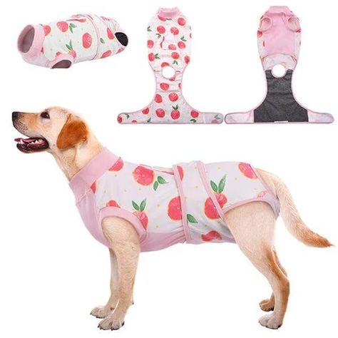 Our Favorite Dog Surgical Suit of 10 Best Surgical Onesies – KUOSER Cat Onesie, Dog Onesies, Recovery Shirts, Dog Cone, Dog Spay, Dog Tuxedo, Dog Suit, Bulldog Francese, Surgery Recovery