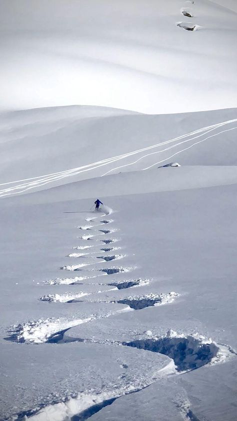 Ski Pics, Skiing Aesthetic, Ski Aesthetic, Powder Skiing, Ski Bums, Ski Art, Backcountry Skiing, Ski Racing, Ski Season