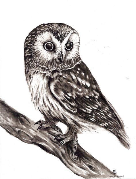 Owl Tattoo Drawings, Owl Tattoo Design, Owls Drawing, Cutest Animals, Owl Tattoo, Owl Art, Arte Animal, Tattoo Design Drawings, Beautiful Tattoos