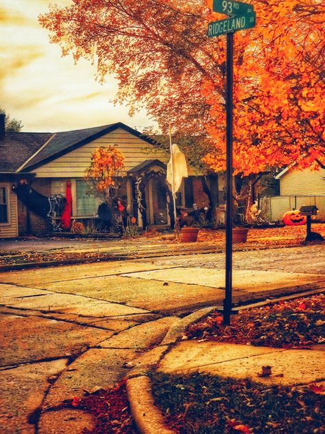 Halloween street aesthetic Halloween Street, Beautiful Pencil Drawings, Street Aesthetic, Halloween Drawings, Street Signs, Drawing Inspo, Pencil Drawings, My Pictures, Digital Drawing