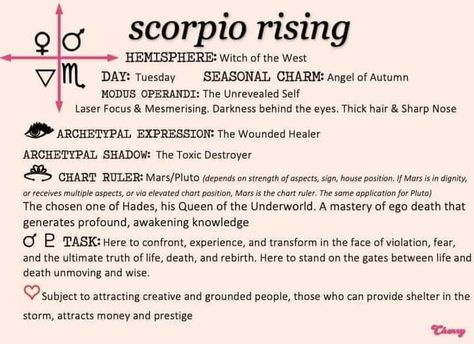 Libra Sun Scorpio Moon, Mars Astrology, Sun Scorpio, Scorpio Ascendant, Libra Sun, Personality Chart, Scorpio Rising, Wounded Healer, Astrology Meaning