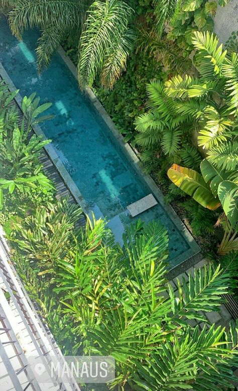 Pool Paving, Piscina Interior, Tropical Backyard, Small Swimming Pools, Pool Landscape Design, Small Pool Design, Tropical Pool, Natural Swimming Pool, Pool Lounge