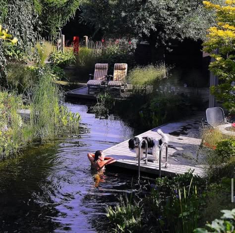 SL on Instagram: “A natural swimming pond garden in the Netherlands… Ft. a good floofy boi 🐾 By @noelvanmierlo for @gestalten . . . . . #gardenofeden…” Swimming Pond, Natural Swimming Pool, Natural Pool, Gorgeous Gardens, Summer Dream, My New Room, Dream Garden, 2024 Vision, Summer House