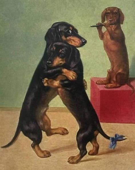 📍Lisboa (pt 1) Retro Dog Art, Arte Dachshund, Vintage Dachshund, Dachshund Art, 강아지 그림, Weenie Dogs, Dog Poster, Dachshund Puppies, Arte Inspo