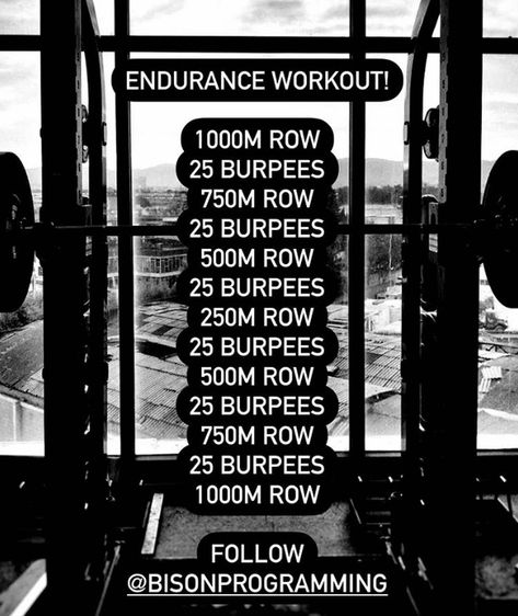 Crossfit Endurance Workouts, Crossfit Style Workouts, 21 15 9 Crossfit Workout, Crossfit Cardio Workout, At Home Crossfit Workouts, Hyrox Workout, Home Crossfit Workouts, Crossfit Workout Program, At Home Crossfit