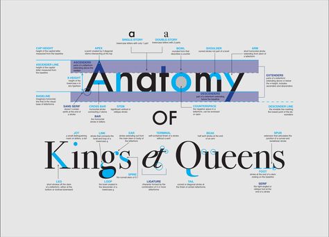 Typography Terminology, Font Anatomy, Letter Anatomy, Anatomy Of Typography, Typography Rules, Type Anatomy, Typeface Poster, Infographic Examples, Typographic Poster Design