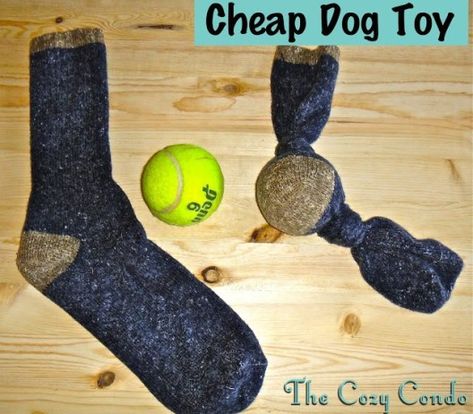 Dogs Toys, Diy Dog Toys, Positive Dog Training, Basic Dog Training, Toy Puppies, Dog Obedience, Dog Training Obedience, Homemade Dog, Tennis Ball