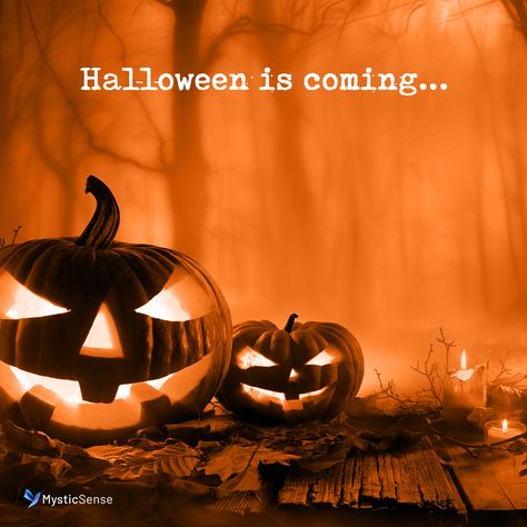 Month Quotes, Halloween Is Coming, Special Halloween, Halloween Poster, Halloween Quotes, Fall Halloween Decor, Halloween 2020, Halloween Pictures, Fall Vibes