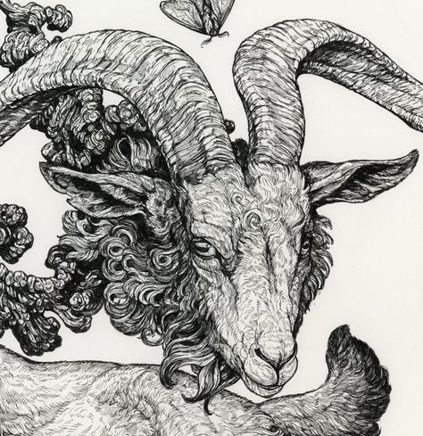 Lamb Tattoo, Black Phillip, Ig Bio, Artsy Design, Tattoo Project, Skeleton Art, Pattern Tattoo, Sketchbook Inspiration, Space Art