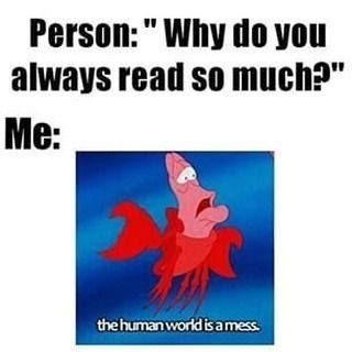 #reading #books #novels #bookish #bookworm #booknerd #bookclub #booklovers #bookmemes Book Nerd Problems, Book Jokes, Book Memes, Disney Funny, Book Humor, Book Fandoms, I Love Books, Really Funny Memes, Book Of Life