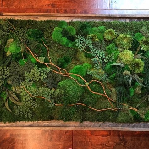 We create zero maintenance plant & moss by PlantedDesign on Etsy Mos Wand, Moss Decor, Moss Plant, Birch Branches, Fleur Orange, Moss Wall Art, Custom Wall Decor, Moss Art, Preserved Moss