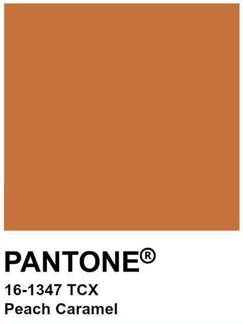 Peach Caramel, Orange Pantone, Coffee Today, So Weird, Caramel Color, Color Analysis, True Colors, Burnt Orange, Caramel