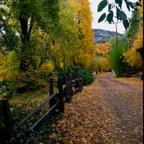 Fall in Oak Glen California Oak Glen California Photoshoot, Oak Glen California, Engagements Pictures, Oak Glen, Camping In The Rain, Holiday Traditions Family, Apple Orchards, Camp Lake, Stone Soup