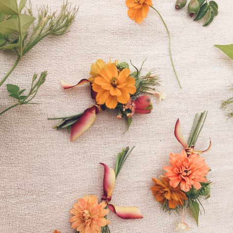 Orange Cosmos and Jasmine Buttonholes with Silk Ribbon by Vervain #buttonholes #silkribbon #wedding #weddingflowers #summerflowers Orange Buttonhole, Butley Priory, Props Photoshoot, Orange Cosmos, Flower Styling, Button Holes Wedding, Photoshoot Props, Button Holes, Flower Inspiration