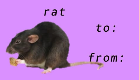 Rat Valentines Day Card, Valentine Meme Cards Funny, Valentines Day Meme Cards Funny, Platonic Valentines Cards, Valentine’s Day Meme, Bad Valentines Cards Funny, Valentine’s Day Memes, Tumblr Valentines Cards, Funny Valentines For Friends