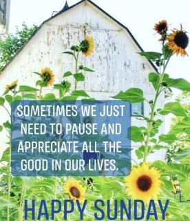 Blessed Sunday Quotes, Have A Beautiful Sunday, Sunday Morning Quotes, Have A Blessed Sunday, Sweet Sunday, Sunday Images, Enjoy Your Sunday, Sunday Inspiration, Good Morning Greeting Cards