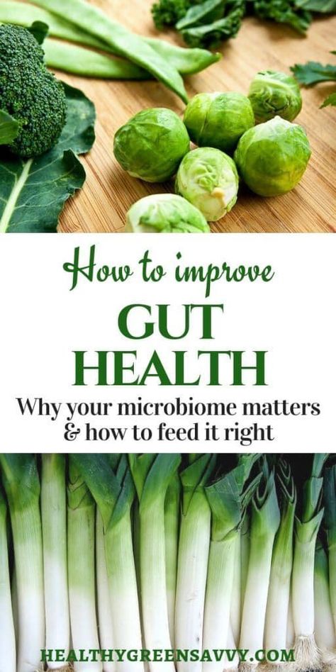 Gut Health 101: Research continues to point to the critical role a healthy gut plays in overall health. Are you feeding your microbiome the right stuff? #guthealth #microbiome #plantbasedeating #prebiotics #probiotics Matcha Benefits, Lemon Benefits, Coconut Health Benefits, Improve Gut Health, The Right Stuff, Plant Based Eating, Necklace Diy, Overall Health, Healthy Gut