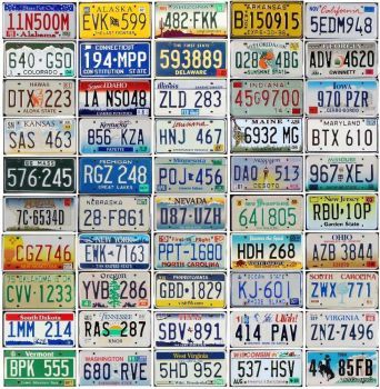 All 50 Us liscense plates (256 pieces) Fantasy Football Gifts, Bar Room Decor, Licence Plates, License Plate Designs, License Plate Art, I Spy Games, Vintage License Plates, Plate Designs, Spy Games