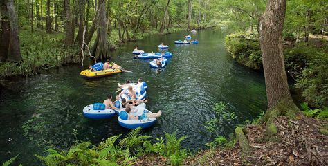 Relax in the most scenic way imaginable.Monkton, near gunpowder, has rentals Maryland Day Trips, Ginnie Springs, Usa Tourism, Chesapeake Beach, Tubing River, Travel Cheap, Lazy River, Visit Florida, Sunshine State