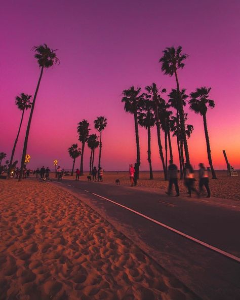 Santa Monica 💜 📸: [instagram.com/miagonzilla] Sunset In California, Aesthetic Beach Sunset, Pink Neon Wallpaper, Beautiful Sunset Pictures, Places In California, Scenery Photos, Cool Backgrounds Wallpapers, Sunset Sea, Vacation Mood