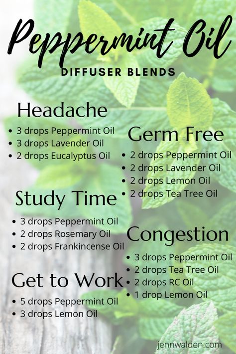 Diffuser Blends Peppermint, Peppermint Essential Oil Uses Diffuser, Peppermint Oil Blends, How To Make Peppermint Oil, Clean Essential Oil Blends, Peppermint Diffuser Blend, Peppermint Essential Oil Blends, Oil Blends To Diffuse, Diffuser Oil Blends