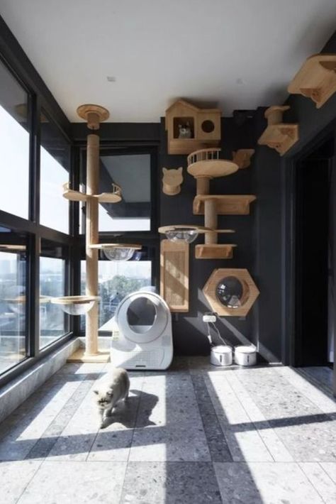 Love. Comfort. Luxury. Barkitecture. These are the pet room ideas for dogs and cats deserving nothing less than the best. Room Ideas For Dogs, Pet Room Ideas, Dog Room Design, Pet Room Decor, Pet Room, Ideas For Dogs, Modern Cat Furniture, Pallet Furniture Living Room, Luxury Cat