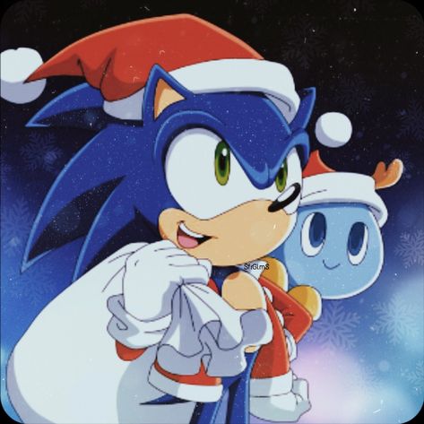 Sonic Channel, Chao Garden, Sonic Anime, Sonic Idw, Sonic Drawing, Big The Cat, Sonic Icon, Hedgehog Christmas, Sonic Unleashed