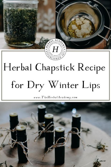 Best Chapstick Recipe, How To Make Natural Chapstick, Diy Natural Chapstick, Winter Lip Balm Recipe, Healing Lip Balm Recipe, Chapstick Diy Recipes, Herbal Lip Balm Recipes, Herbal Academy Recipes, Homemade Chapstick Recipe