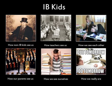 Ib Students, Ib Classroom, International Baccalaureate, School Sucks, College Writing, Student Problems, Best Essay Writing Service, Student Humor, Quotes Instagram