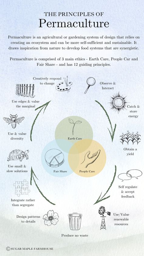 What is Permaculture? The 12 permaculture principles Permaculture Garden Design, Light Pink Throw Pillows, Throw Pillows Red, Food Forest Garden, Permaculture Principles, Coffee Review, Permaculture Gardening, Permaculture Design, Natural Ecosystem