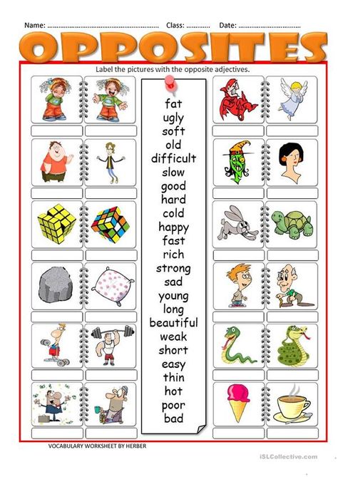 OPPOSITES WS worksheet - Free ESL printable worksheets made by teachers Opposites Preschool, Opposites Worksheet, Adjective Worksheet, Opposite Words, Learning English For Kids, English Worksheets For Kids, Learning Worksheets, Kindergarten Lessons, English Lessons For Kids