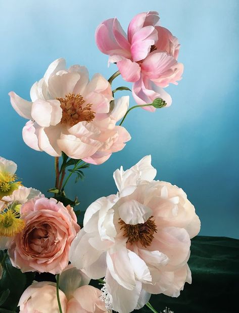 White Flower Arrangement, White Flower Arrangements, Sight Unseen, Still Lifes, Paint By Numbers, White Flower, Flower Arrangement, Flower Wallpaper, Flowers Photography