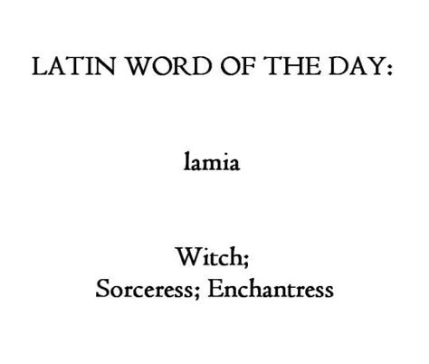 Latin Aesthetic, Learn Latin, Latin Quotes, Latin Phrases, Latin Word, Uncommon Words, History Education, Unusual Words, Rare Words