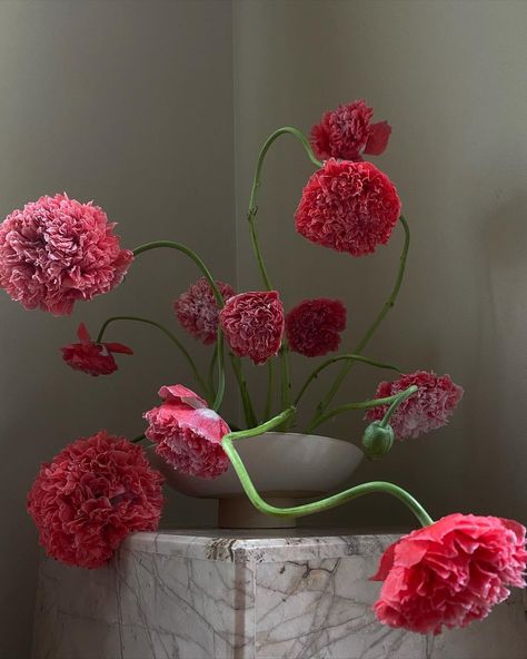 Handful Of Flowers, Sculptural Flowers, Ikebana Arrangements, Hands In The Air, Flower Installation, Flower Shower, Flower Therapy, Pretty Plants, Abstract Flowers