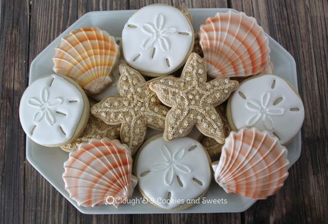 Sand Dollar Cookies, Seashell Cookies, Starfish Cookies, Summer Sugar Cookies, Beach Cookies, Beach Cakes, Summer Cookies, Sugar Cookie Designs, Creative Cookies