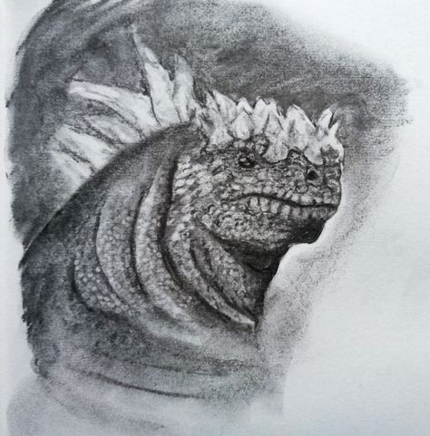 Marine Iguana charcoal drawing Marine Iguana, Charcoal Drawing, Artist At Work, Lion Sculpture, Statue, Sculpture, Drawings, Animals, Art