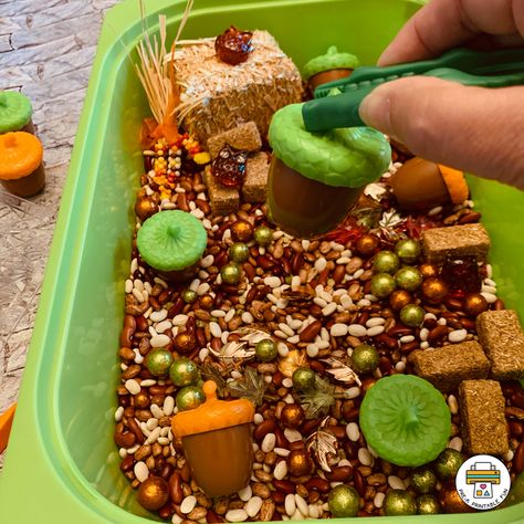 Squirrel Sensory Bin, Squirrel Theme Preschool, Squirrels And Acorns Preschool, Acorn Crafts Preschool, Preschool Apple Unit, Fall Sensory Bin, Daycare Themes, October Activities, How To Make Dough