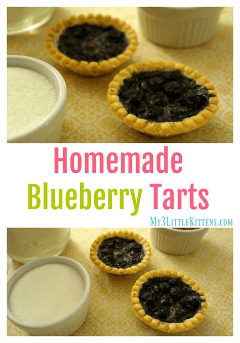 Homemade Blueberry Tarts Recipe - My 3 Little Kittens Blueberry Tarts Mini, Butter Pecan Tarts, Celebrate Ostara, Blueberry Tart Recipe, Blueberry Tarts, Pecan Tarts Recipe, Desserts Mini, Orange Bread, Pecan Tarts