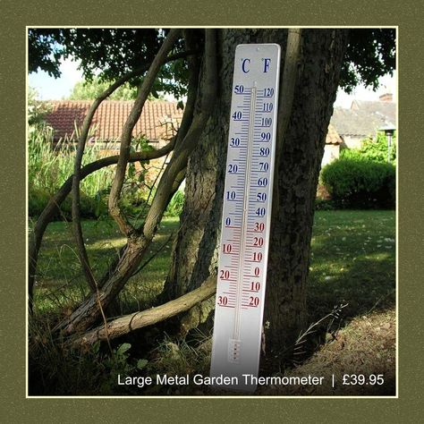 A very big thermometer that's perfect if you like to see the temperature from a distance.⁠ ⁠ Place in a shady section of the garden for accurate readings.⁠ ⁠ Shop now using our linkin.bio⁠ ⁠ Image Description:⁠ "Great addition to my garden and in fact quite a talking point" A large garden thermometer rests against a tree⁠ ⁠ #wormturned #revitalisingoutdoorspace #thermometer #gardenthermometer #gardenlife Types Of Weather, Outdoor Thermometer, Weather Data, Weather Instruments, Temperature Measurement, Weather Station, Door Makeover, Unique Doors, Nature Trail