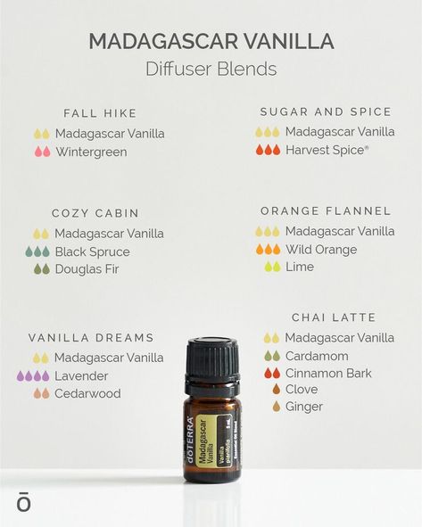 Sweet fall diffuser blends are here! Try these blends with the all-new Madagascar Vanilla. Cuddle up under a blanket with a good book and switch on your diffuser! ☺️ Vanilla Diffuser Blends, Doterra Oils Recipes, Fall Essential Oils, Fall Diffuser Blends, Doterra Diffuser, Doterra Diffuser Blends, Essential Oil Combinations, Doterra Essential Oils Recipes, Essential Oil Diffuser Blends Recipes