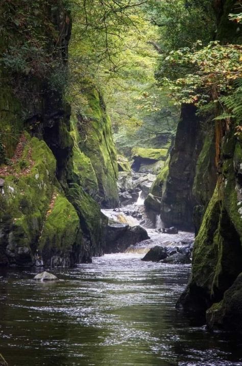 Fairy glen in Betws-y-Coed, Wales.  Photo:  Lonnie Morris. Fairy Glen, Layout Inspiration, Uk Travel, Wales, Places To Visit, Nature