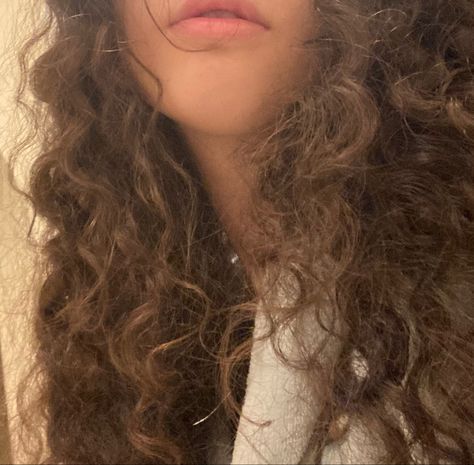 Bushy Brown Hair, Frizzy Hair Aesthetic, Brown Curly Hair Aesthetic, Curly Brown Hair Aesthetic, Ola Core, Curly Hair Aesthetic Faceless, Caramel Girl Aesthetic, Curly Light Brown Hair, Brown Hair Aesthetic