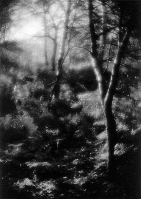 Soft Focus Photography, Medium Format Photography, Photography Sketchbook, Large Format Photography, Pinhole Photography, Focus Images, Creative Photography Techniques, Bw Photography, Focus Photography