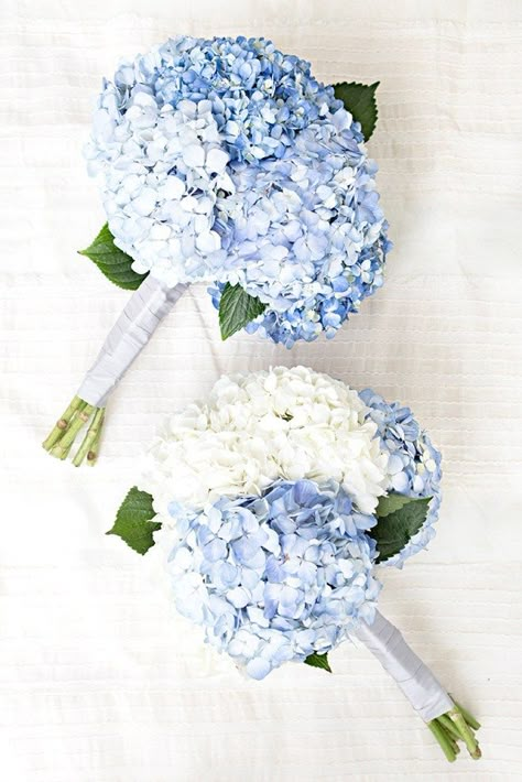 Blue Hydrangea Bouquet, Classic Blue Wedding, Blue Hydrangea Wedding, Hydrangea Bouquet Wedding, Wedding Flowers Hydrangea, Wedding Flower Guide, Idee Babyshower, Blue And White Flowers, Blue Wedding Bouquet