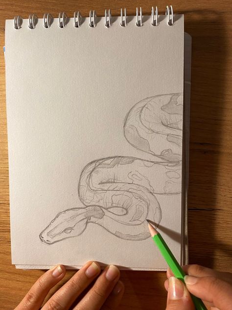 How To Draw A Cute Snake Step By Step, Step By Step Snake Drawing, Snake Tutorial Draw, Water Snake Drawing, Drawing Ideas Snake Easy, Snake In Hand Drawing, Snake On Hand Drawing, Snake Drawing Sketches Easy, Snakes To Draw