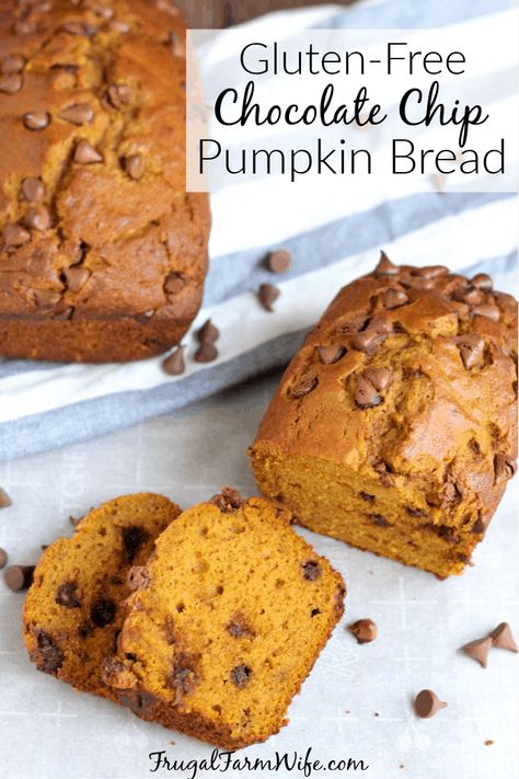 Gluten-free Chocolate Chip Pumpkin Bread | Frugal Farm Wife Chocolate Chip Pumpkin Bread Recipe, Chocolate Pumpkin Bread, Gluten Free Pumpkin Bread, Pumpkin Spice Donut, Chocolate Chip Bread, Bread Breakfast, Pumpkin Chocolate Chip Bread, Pumpkin Chocolate Chip Muffins, Recipes Bread